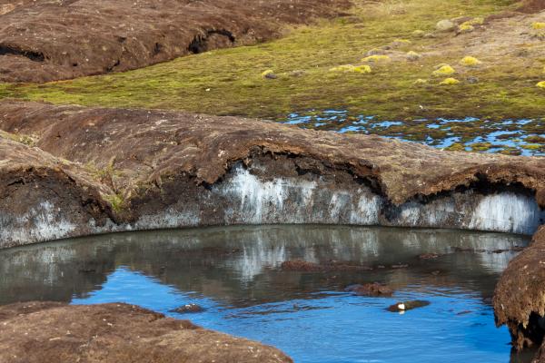 Permafrost: qué es, dónde está, características y deshielo - Qué es el permafrost