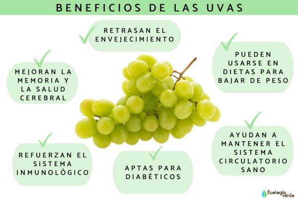 Uvas: propiedades, calorías, beneficios, cómo comerlas y contraindicaciones - ¿Cuáles son los beneficios de las uvas para la salud? 