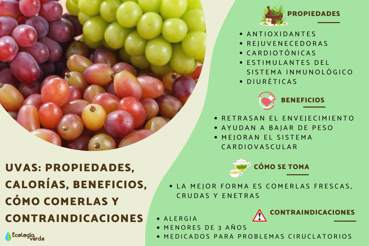 Uvas: propiedades, calorías, beneficios, cómo comerlas y contraindicaciones