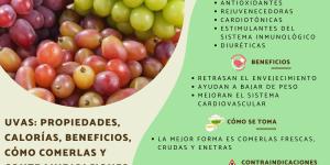 Uvas: propiedades, calorías, beneficios, cómo comerlas y contraindicaciones