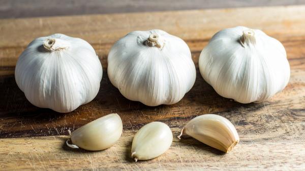 Sembrar un diente de ajo en la tierra de las macetas: el sencillo truco para mantener tus plantas fuertes - Cómo enterrar un diente de ajo en una maceta para aprovechar mejor sus compuestos