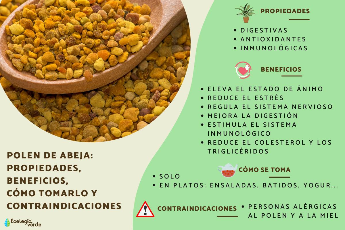 Polen de abeja: propiedades, beneficios, cómo tomarlo y contraindicaciones
