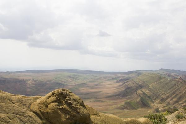 Estepa euroasiática: qué es, características, flora y fauna -  ¿Qué es la estepa euroasiática? 