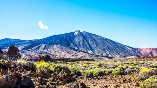Parece inofensivo, pero está destruyendo un ecosistema único en España - Sin depredadores: el muflón no tiene límites y presiona a una flora única