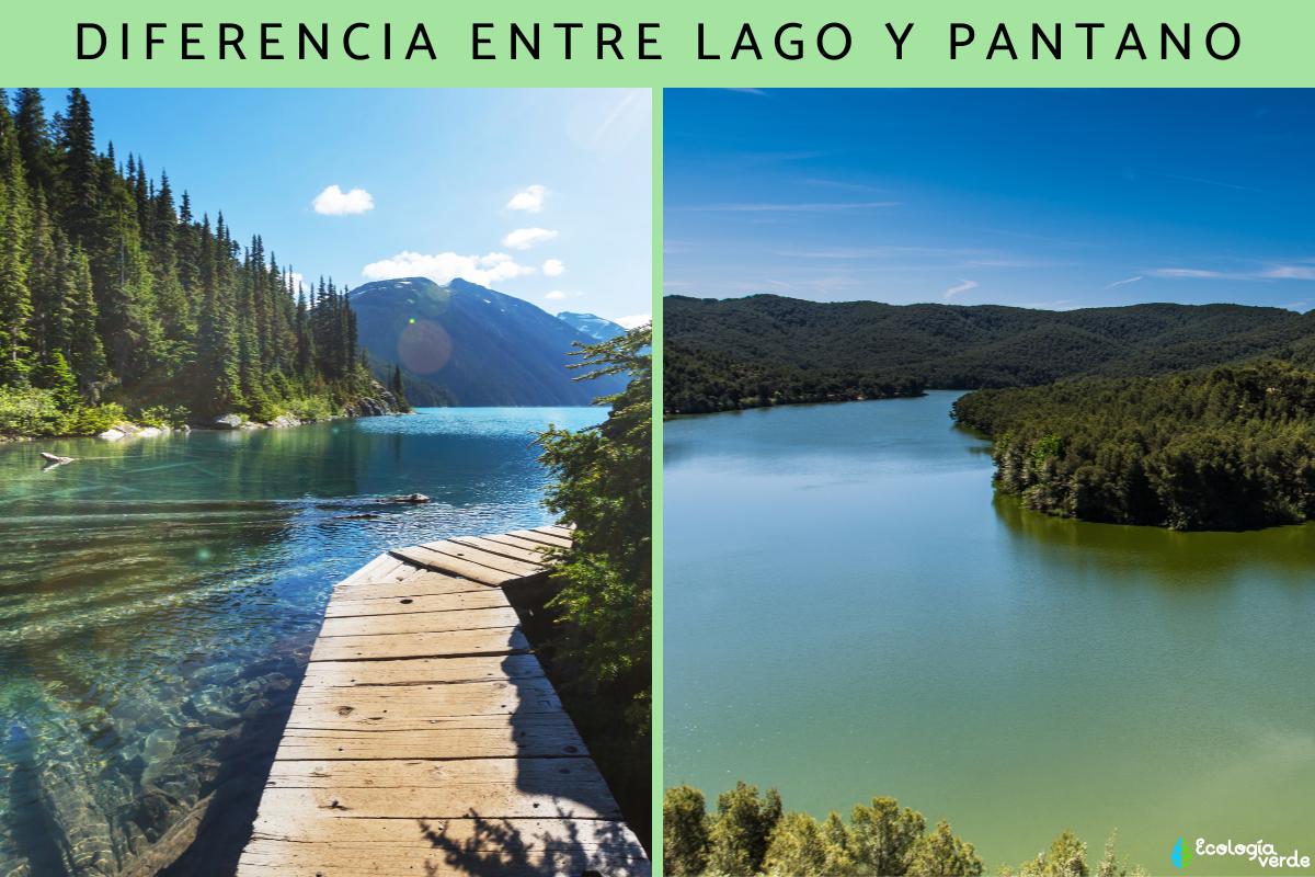 Diferencia entre lago y pantano
