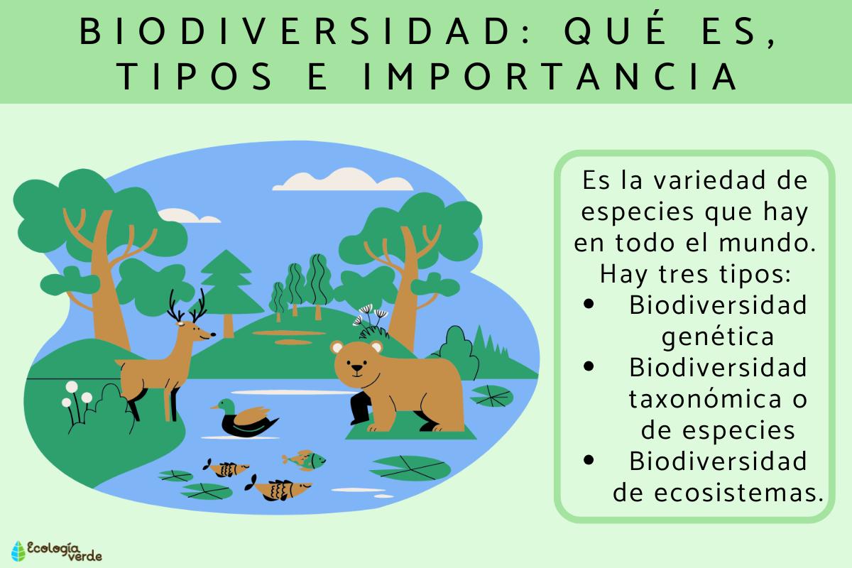 Biodiversidad: qué es, tipos e importancia