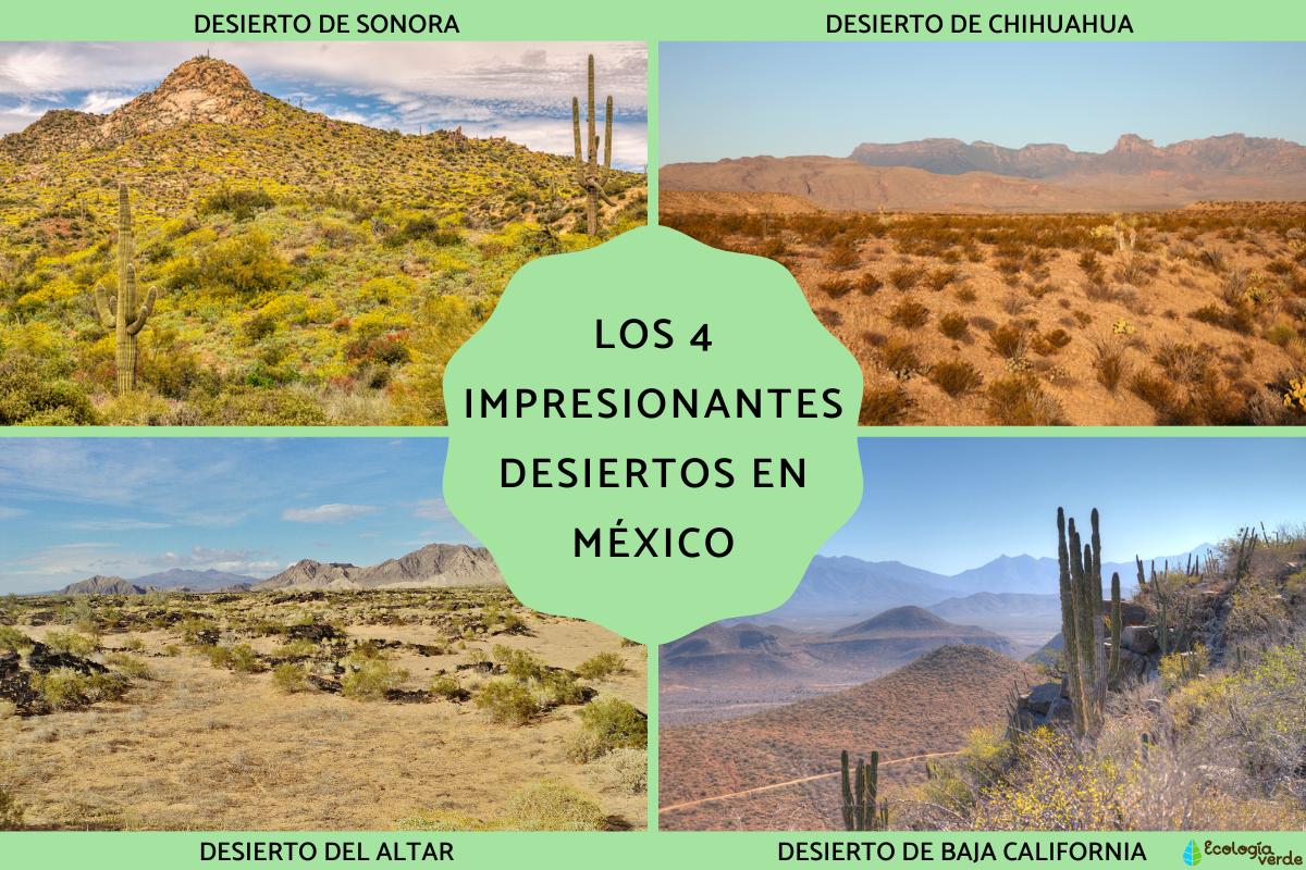 Los impresionantes desiertos en México