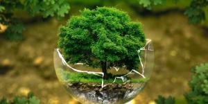 Beneficios del desarrollo Sustentable o Sostenible