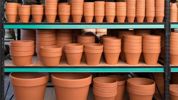 André Alonso, experto en jardinería: “Si eliges una maceta demasiado grande, la planta gastará su energía en colonizarla” - El error de elegir primero la maceta y después mirar las raíces
