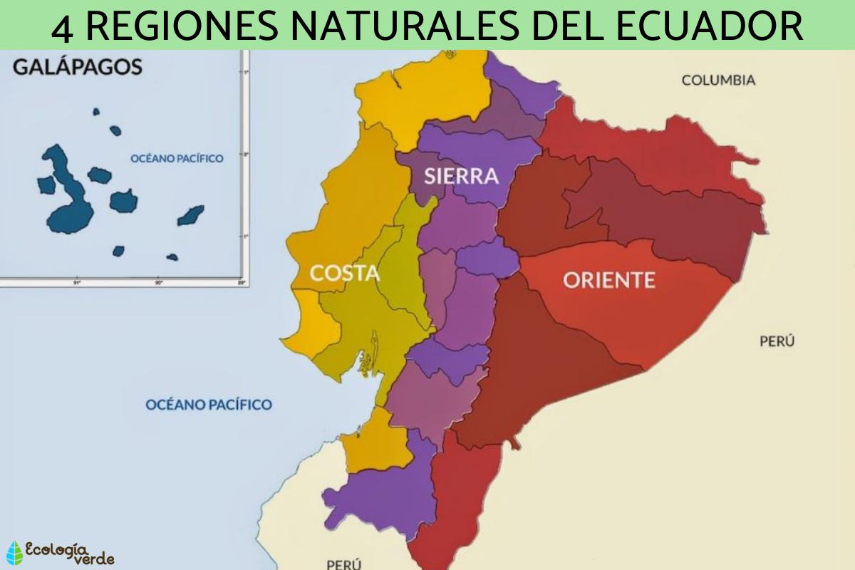 Cuáles son las regiones naturales del Ecuador
