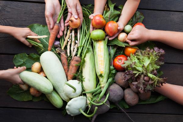 Gastronomía sostenible: qué es y beneficios - Qué es la gastronomía sostenible