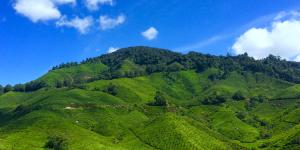 Qué es un cerro y cómo se forma