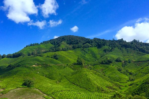 Qué es un cerro y cómo se forma