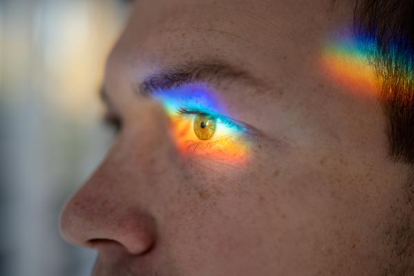 Ojo humano: partes y funciones - Cómo funciona el ojo humano