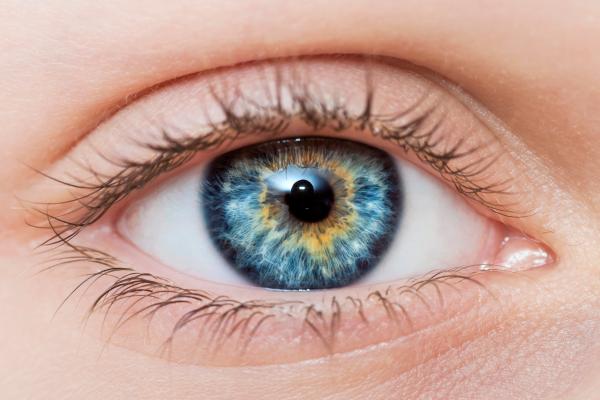 Ojo humano: partes y funciones - Qué es el ojo humano