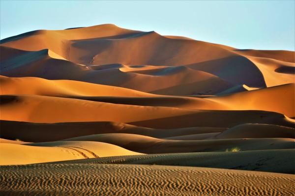 Desierto: características, clima, flora y fauna - Clima del desierto