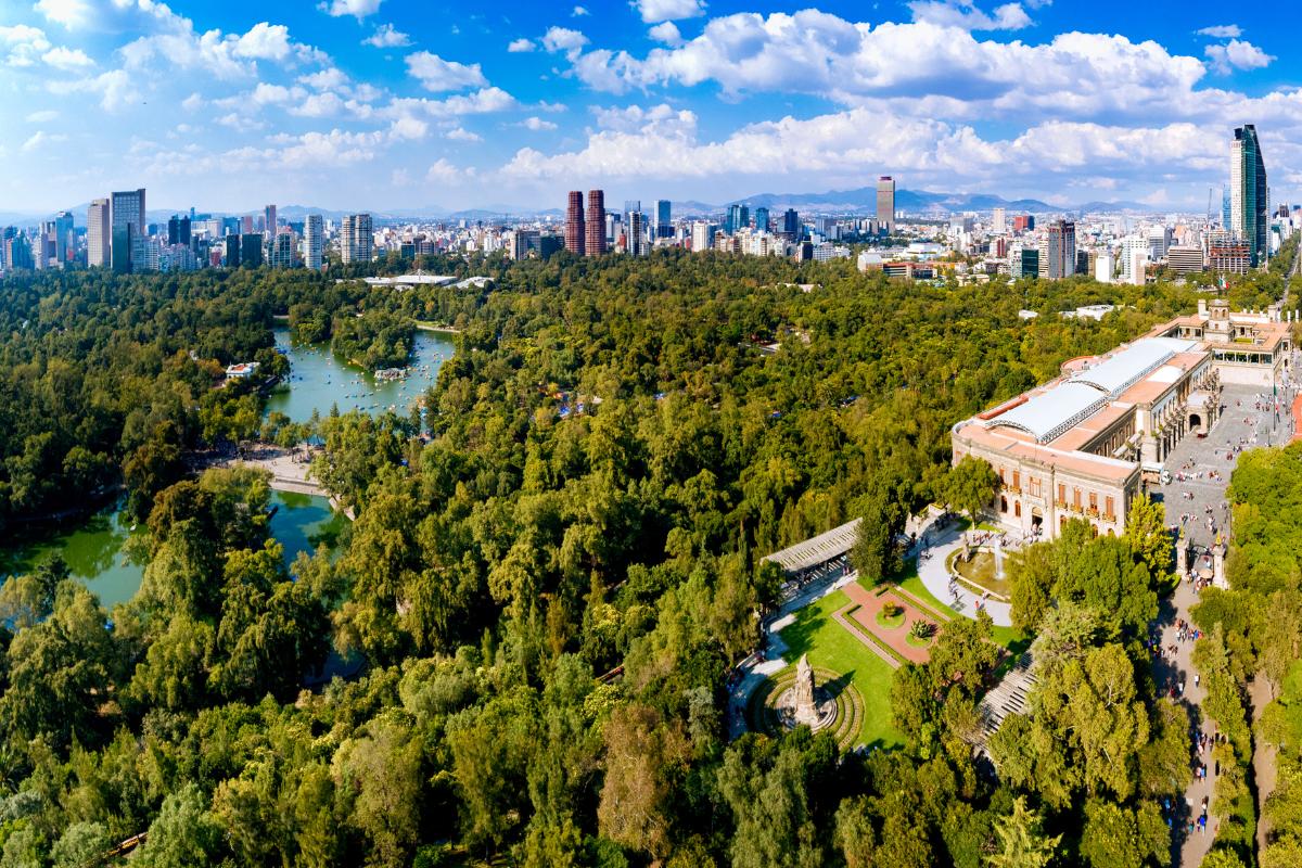 Bosques urbanos: qué son, para qué sirven e importancia