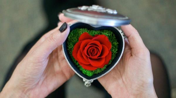 Las rosas más originales para Sant Jordi: ideas que van mucho más allá de la típica flor - Rosas diferentes que sorprenden (y decoran)