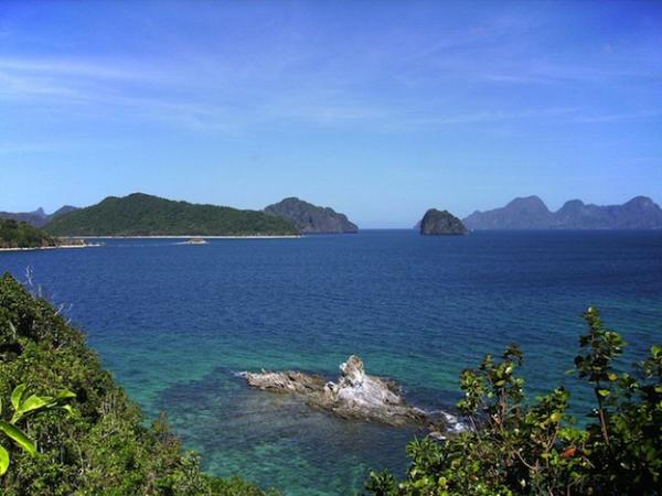 Mar de la China Meridional - Biodiversidad de Mar de la China Meridional