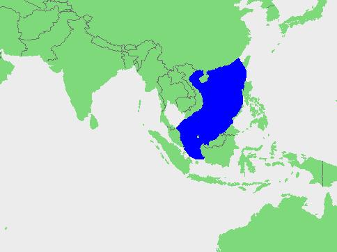 Mar de la China Meridional - Descripción de Mar de la China Meridional