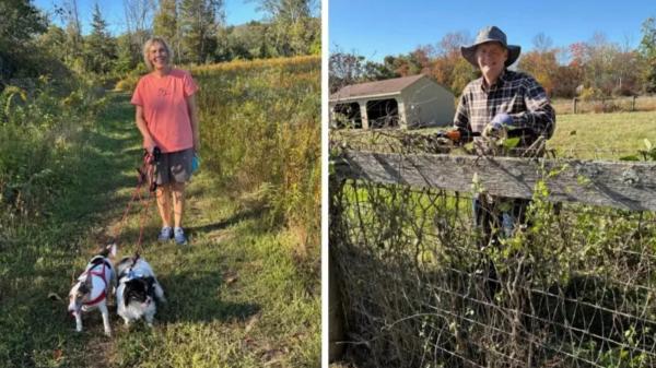 Una familia protege para siempre su finca de 12 hectáreas: sus robles se han convertido en refugio de murciélagos, pavos y cientos de especies de orugas - 4 hectáreas de robles que se han convertido en refugio para cientos de especies