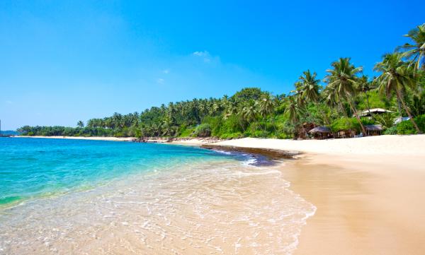 Clima tropical: qué es, características, flora y fauna - Qué es el clima tropical y sus tipos