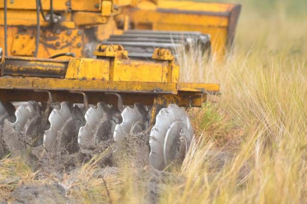 Cortafuegos en el bosque: qué son y cómo previenen los incendios forestales - ¿Cuáles son las limitaciones de los cortafuegos?
