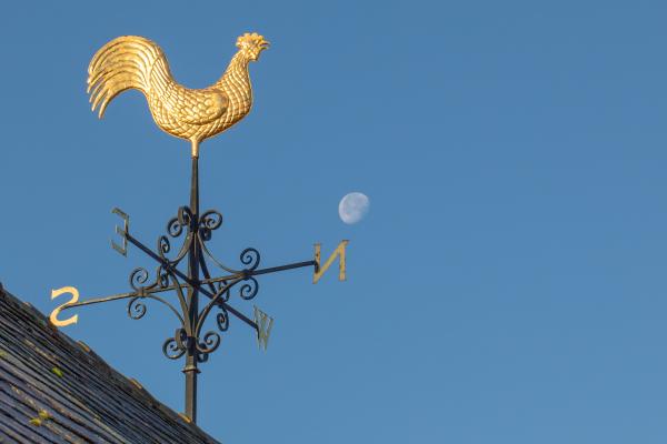 Veleta: qué es, para qué sirve, cómo funciona y tipos