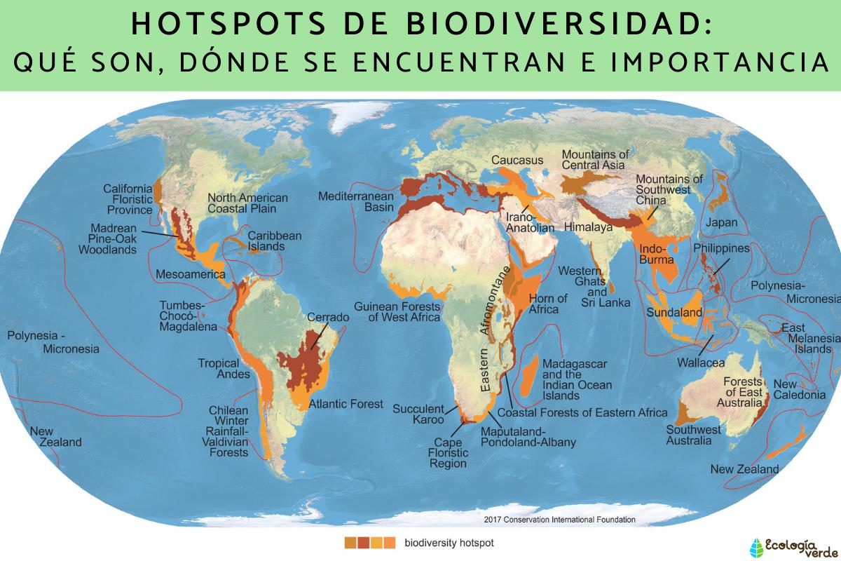 Hotspots de biodiversidad: qué son, dónde se encuentran e importancia