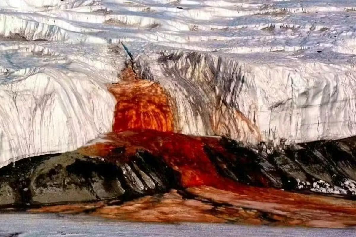 Cataratas de sangre: qué son, por qué se producen y curiosidades de esta cascada roja