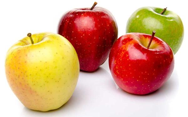 Manzano - Reproducción y variedades del manzano