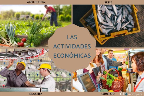 Actividades económicas: qué son y tipos