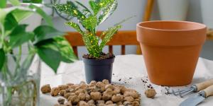 Los expertos en jardinería coinciden: poner corchos en las macetas puede ayudar mucho a las plantas