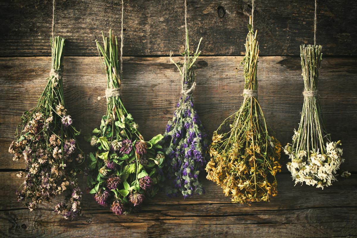 Cómo secar un ramo de flores