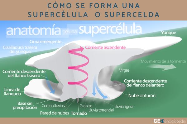 Supercélula o supercelda: qué es, cómo se forma, tipos y consecuencias - Cómo se forma una supercélula 