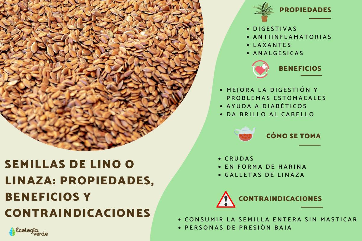 Semillas de lino o linaza: propiedades, beneficios y contraindicaciones