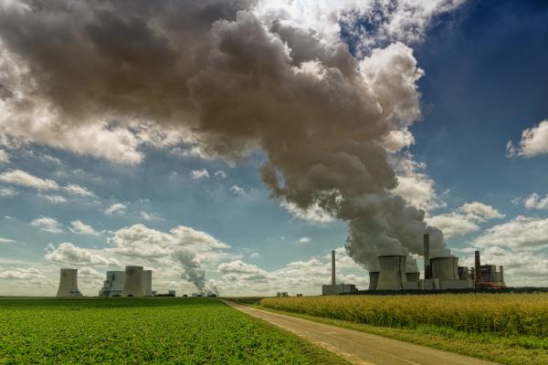 Día Internacional contra el Cambio Climático - ¿Cuáles son las causas del cambio climático?