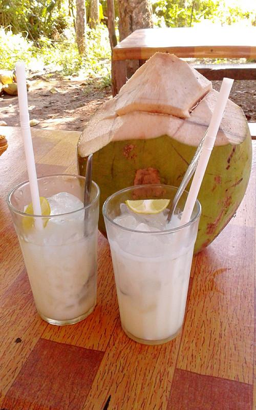 Cocotero - Distribución del Cocotero