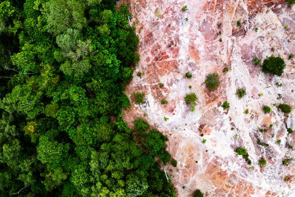 Día Internacional contra el Cambio Climático - ¿Por qué se celebra el Día Internacional contra el Cambio Climático?