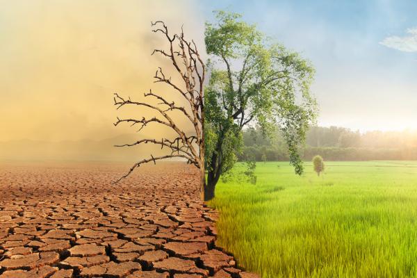 Día Internacional contra el Cambio Climático - ¿Qué es el Día Internacional contra el Cambio Climático y cuándo es?