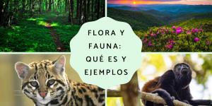 Flora y fauna: qué es y ejemplos