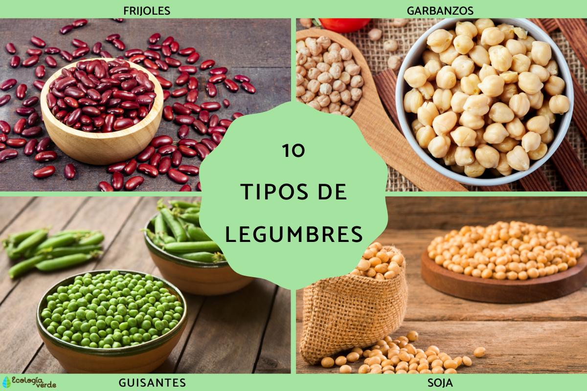 Tipos de legumbres